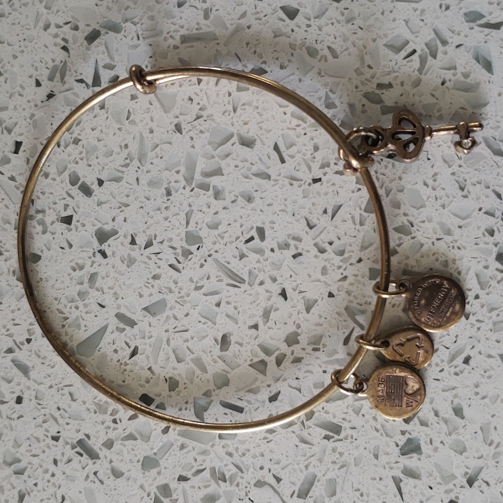 Alex and Ani braclet
